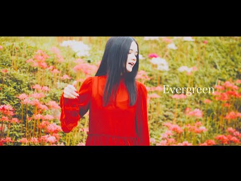 sajou no hana 『Evergreen』（Music Video）
