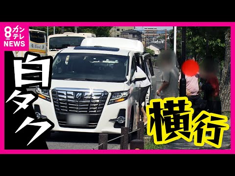 【観光地の違法“白タク”営業】運転者は「親戚を乗せている」と言うが… 次々と現れるワゴン車　白タクに客を奪われタクシー業界に大打撃　摘発のむずかしさも〈カンテレNEWS〉