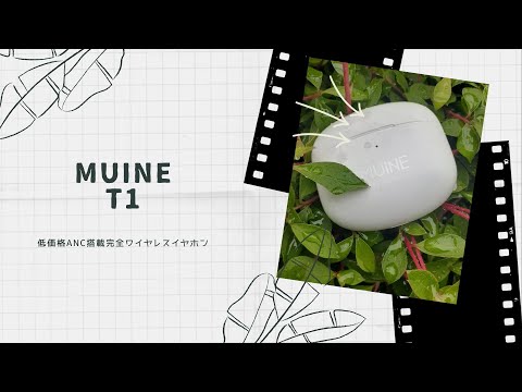 【開封動画】MUINE T1