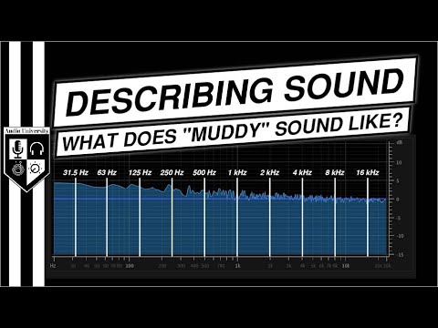 What Does &quot;Muddy&quot;, &quot;Boxy&quot;, &amp; &quot;Tinny&quot; Sound Like? | WORDS TO DESCRIBE SOUND QUALITY